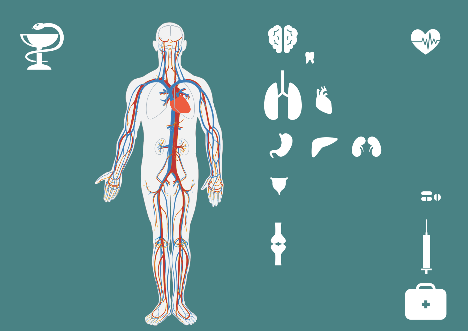 岁栢®小分子生物肽